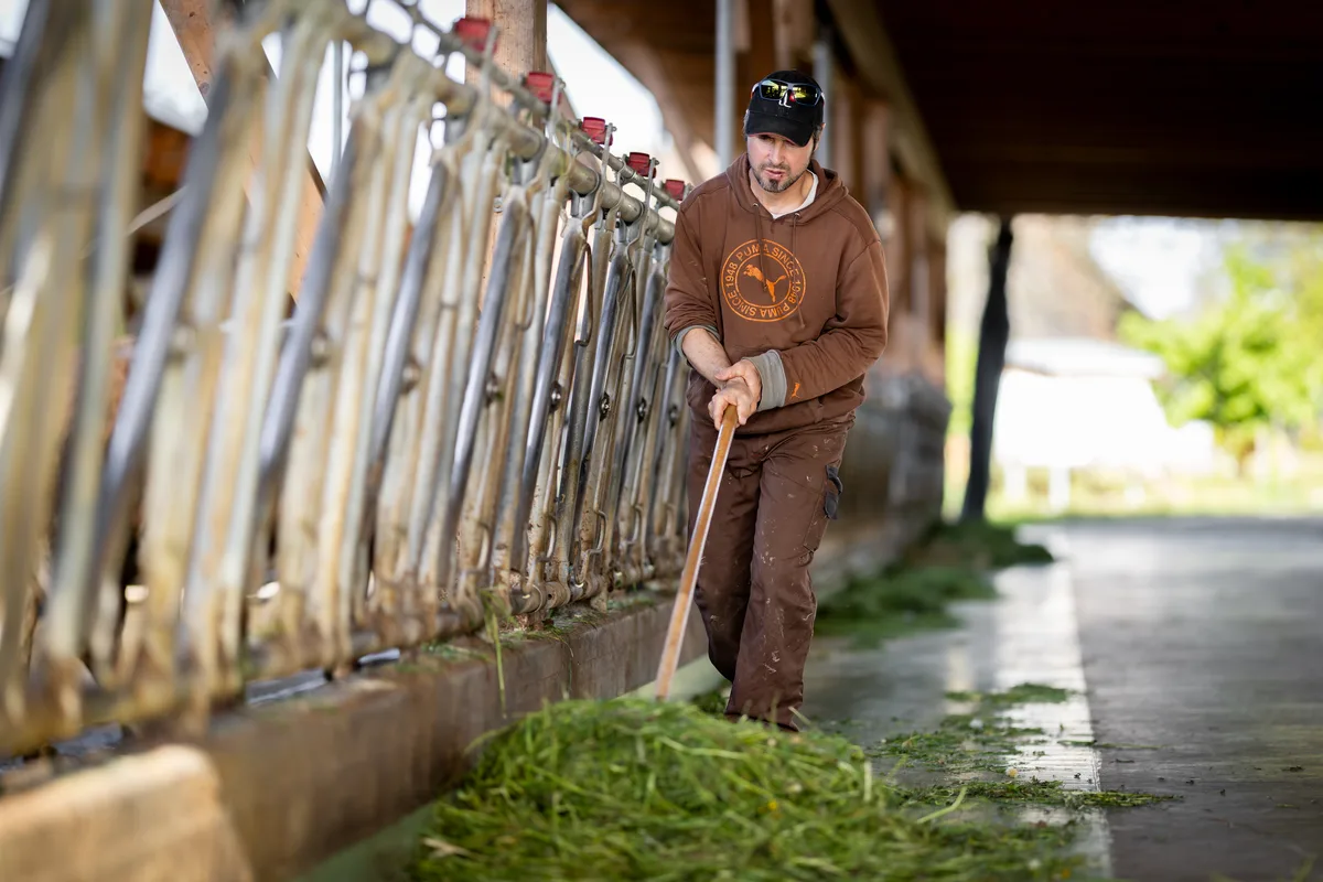 Landwirt Lukas Faust schiebt mit einer Heugabel frisches Gras zusammen.